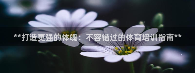 欧陆娱乐平台咋样啊赚钱：**打造更强的体魄：不容错过
