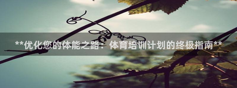 欧陆娱乐会员：**优化您的体能之路：体育培训计划的终