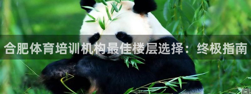 欧陆娱乐怎么注册账号登录：合肥体育培训机构最佳楼层选