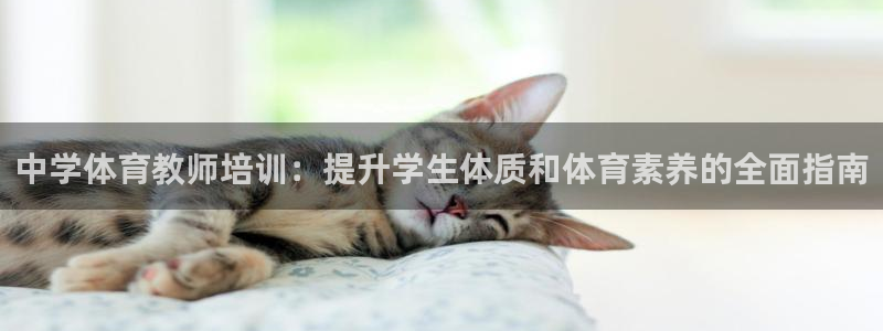 欧陆娱乐平台登录不上去：中学体育教师培训：提升学生体