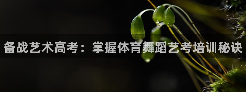 欧陆娱乐计划app官方正版安装下载：备战艺术高考：掌