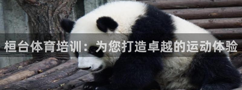 欧陆娱乐有限公司官网：桓台体育培训：为您打造卓越的运动体验