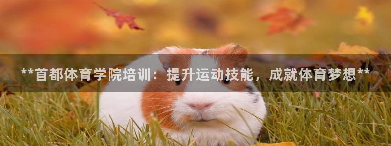 欧陆娱乐能提现嘛?：**首都体育学院培训：提升运动技