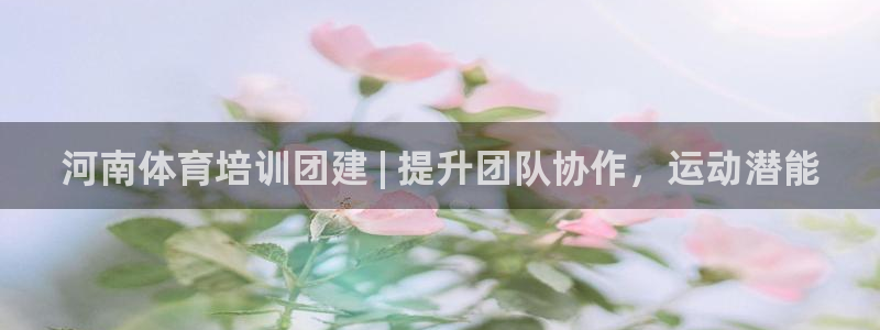 欧陆娱乐注册代理多少钱：河南体育培训团建 | 提升团