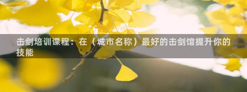 欧陆娱乐官网网址是什么：击剑培训课程：在（城市名称）
