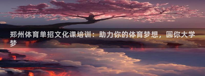 欧陆娱乐代理多少个点位可以赚钱：郑州体育单招文化课培