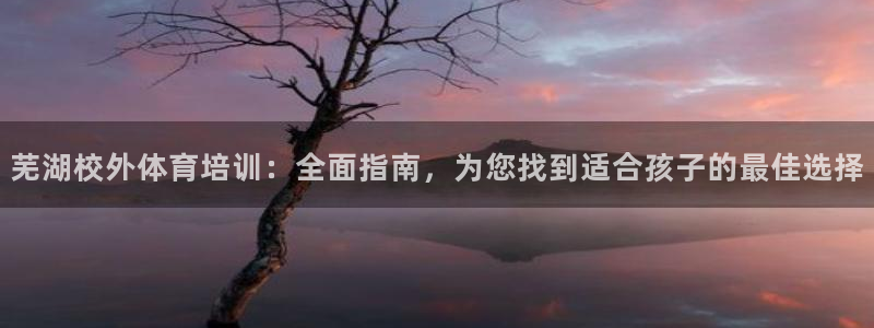 欧陆娱乐是干什么的：芜湖校外体育培训：全面指南，为您