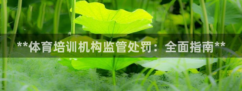 欧陆娱乐登陆官网下载：**体育培训机构监管处罚：全面