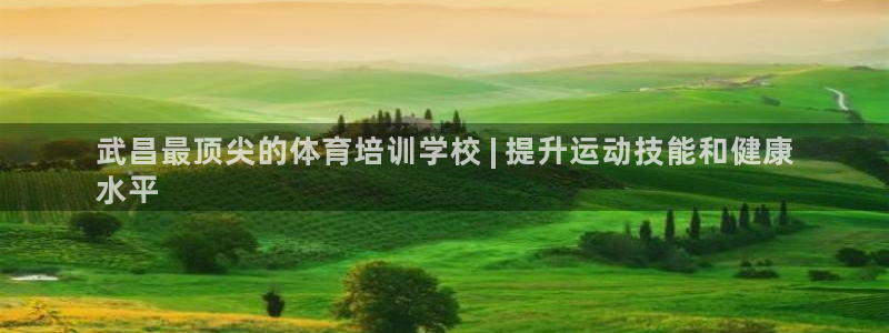 重庆欧陆娱乐有限公司：武昌最顶尖的体育培训学校 | 提升运动