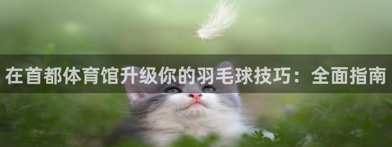 欧陆娱乐是什么：在首都体育馆升级你的羽毛球技巧：全面指南