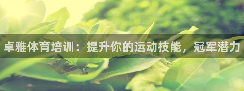 欧陆娱乐怎么注册帐号啊：卓雅体育培训：提升你的运动技