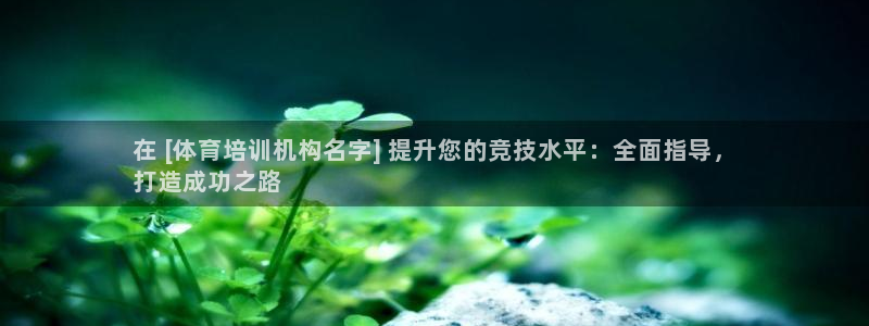 欧陆娱乐平台官网入口：在 [体育培训机构名字] 提升