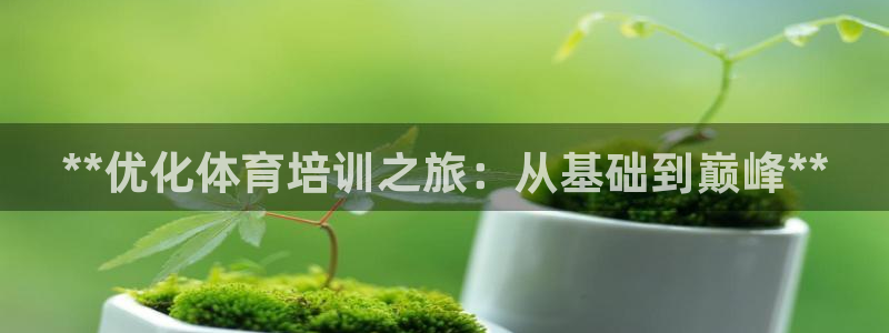 欧陆娱乐是真的假的：**优化体育培训之旅：从基础到巅