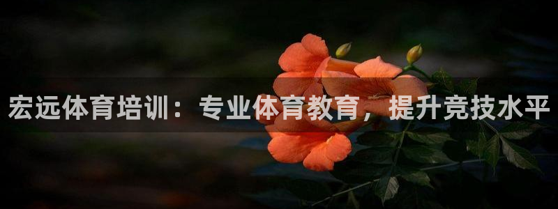 欧陆娱乐挂机项目怎么设置：宏远体育培训：专业体育教育