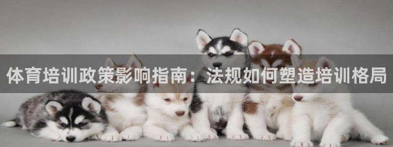 欧陆娱乐共创美好：体育培训政策影响指南：法规如何塑造