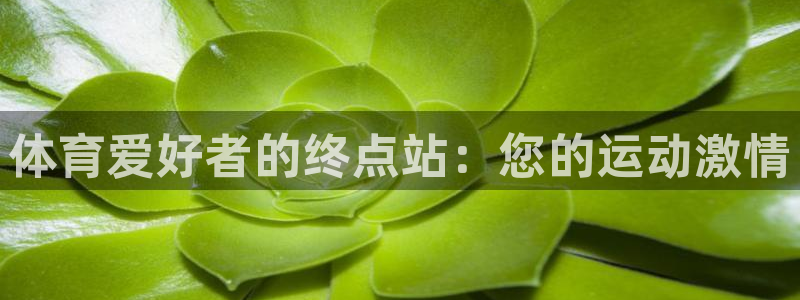 欧陆娱乐平台官网下载：体育爱好者的终点站：您的运动激