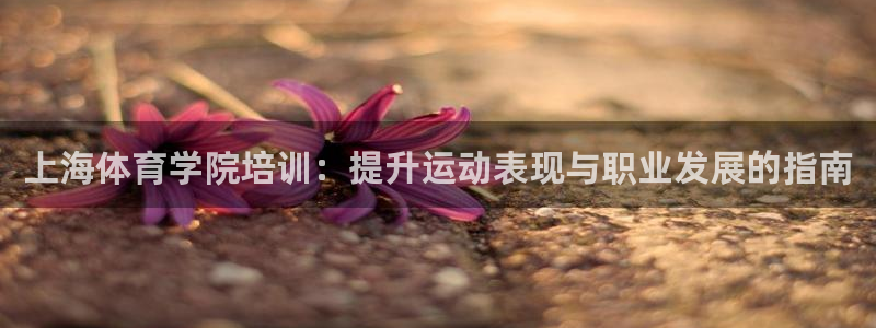 欧陆娱乐是正规平台吗安全吗知乎推荐：上海体育学院培训：提升运