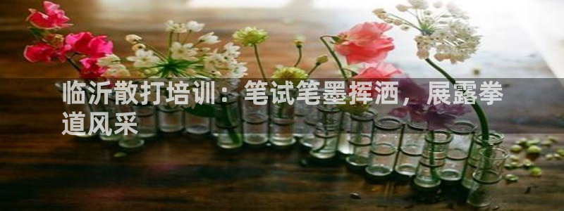 欧陆娱乐app攻略下载：临沂散打培训：笔试笔墨挥洒，