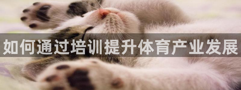 欧陆娱乐官网首页：如何通过培训提升体育产业发展