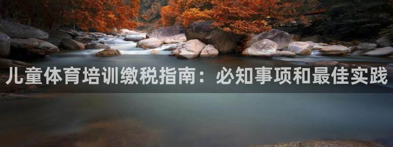 欧陆娱乐是那个旗下的品牌：儿童体育培训缴税指南：必知事项和最