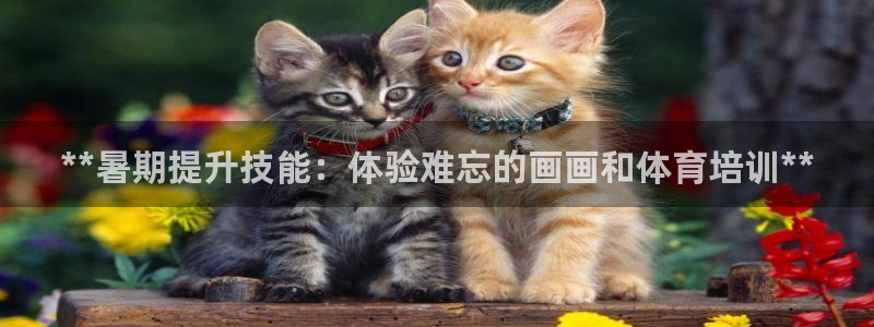 欧陆娱乐讲7O777：**暑期提升技能：体验难忘的画