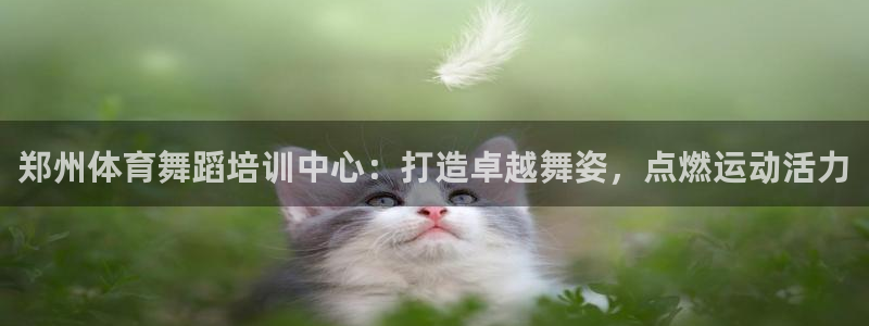 欧陆娱乐平台登陆地址在哪：郑州体育舞蹈培训中心：打造卓越舞姿