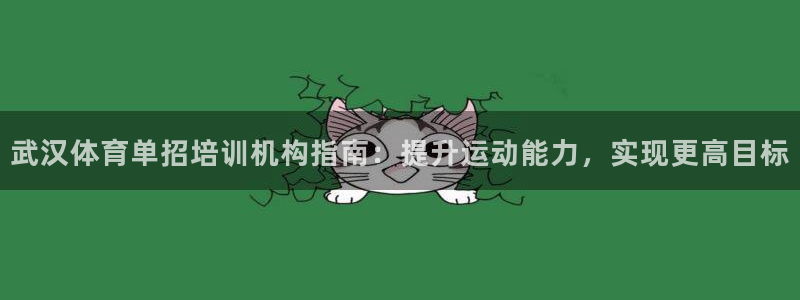 欧陆娱乐是什么：武汉体育单招培训机构指南：提升运动能