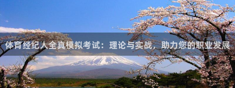 欧陆娱乐总代理是谁：体育经纪人全真模拟考试：理论与实