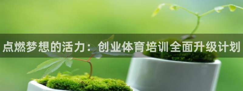 欧陆娱乐怎么注册：点燃梦想的活力：创业体育培训全面升