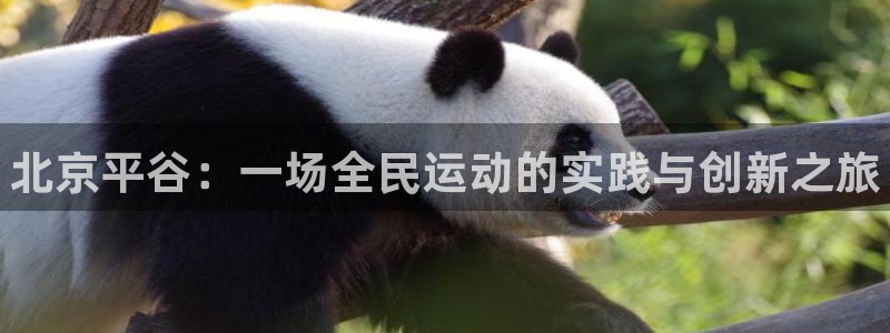 欧陆娱乐挂机项目有哪些：北京平谷：一场全民运动的实践