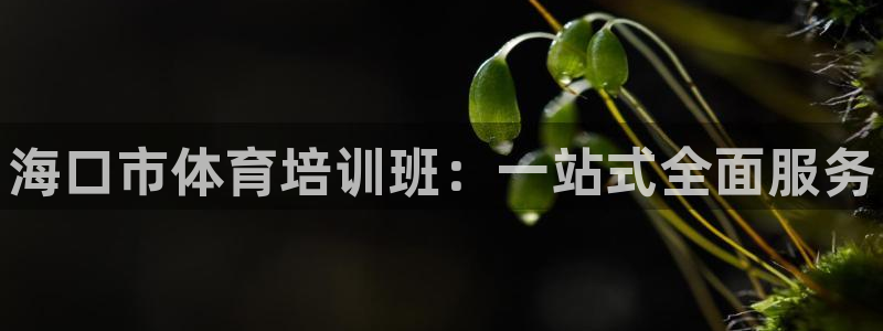 欧陆娱乐出款：海口市体育培训班：一站式全面服务