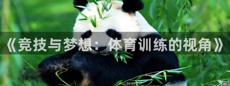 欧陆娱乐是正规平台吗安全吗知乎文章：《竞技与梦想：体育训练的