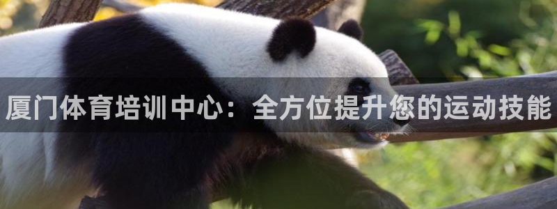 欧陆娱乐平台登录不上去怎么办：厦门体育培训中心：全方